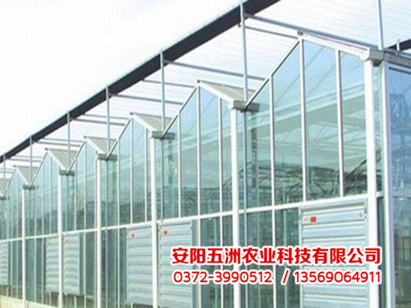 連棟大棚 連棟大棚