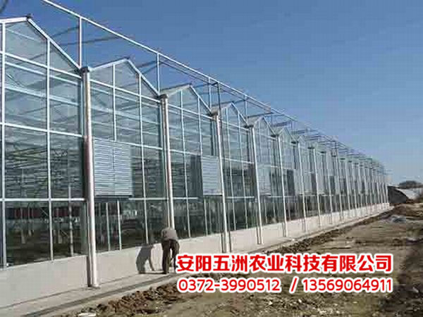 連棟大棚 連棟大棚