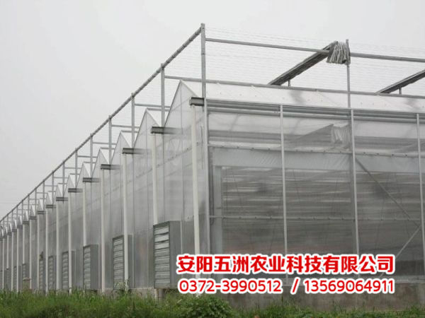 連棟大棚 連棟大棚